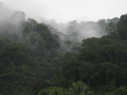 Parque Nacional Piedras Blancas, Costa Rica