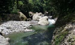 Reserva Biológica Hitoy Cerere Biological Reserve, Costa Rica