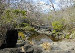 Lomas Barbudal Reserve